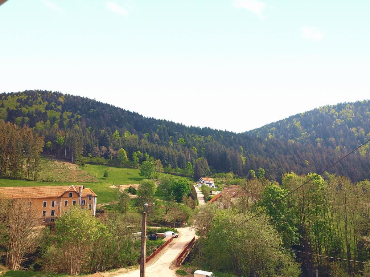 ⁂⁂ Le Grand Duc Appartement Cledicihome / Magnifique Vue Sur Les Montagnes / 4 Kms De Gerardmer ! ⁂⁂ Rochesson Buitenkant foto