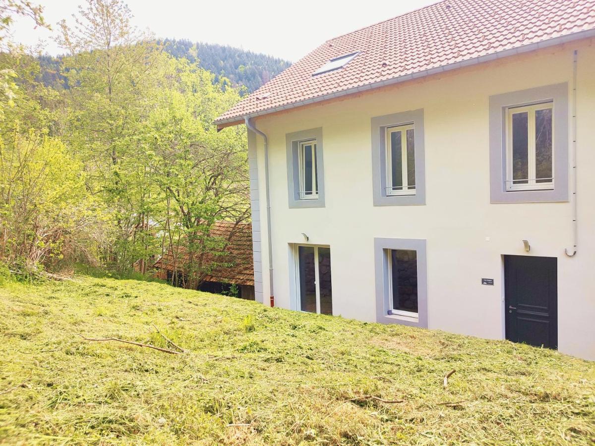 ⁂⁂ Le Grand Duc Appartement Cledicihome / Magnifique Vue Sur Les Montagnes / 4 Kms De Gerardmer ! ⁂⁂ Rochesson Buitenkant foto